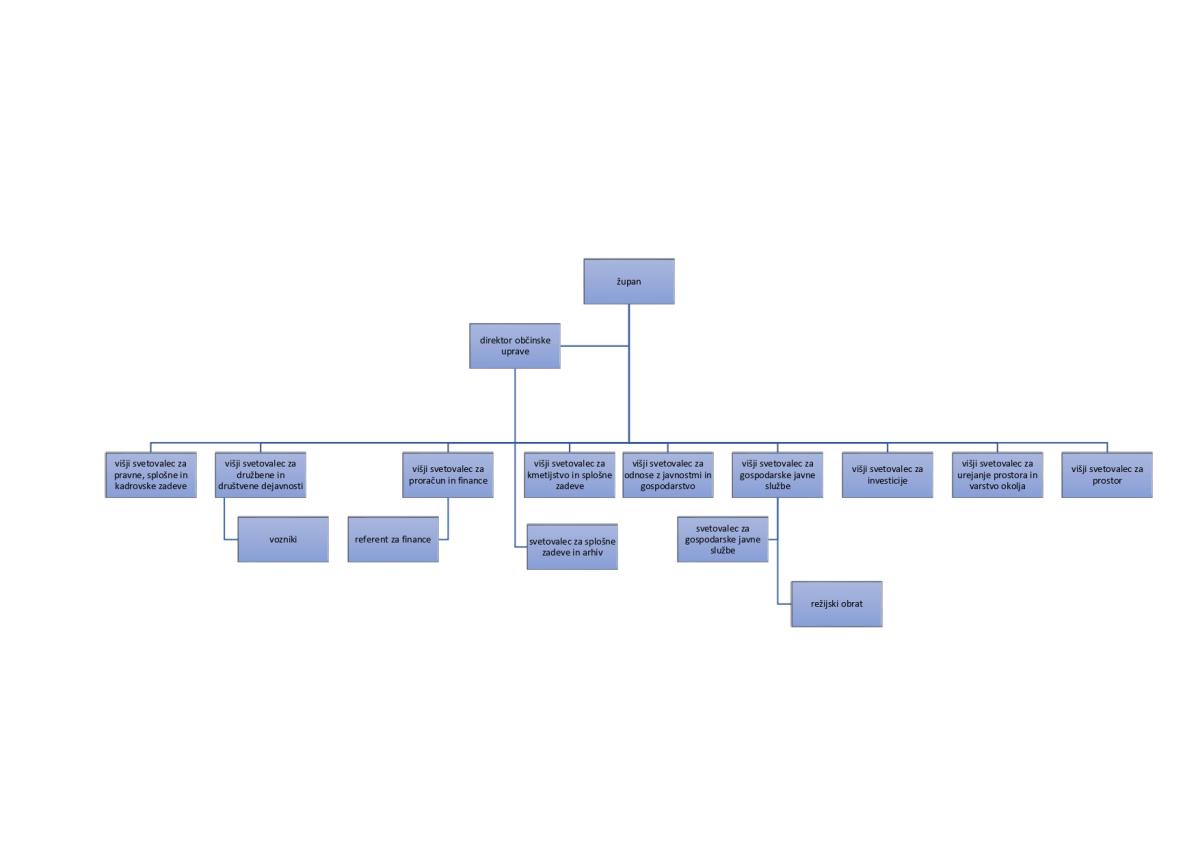 Organigram 2026